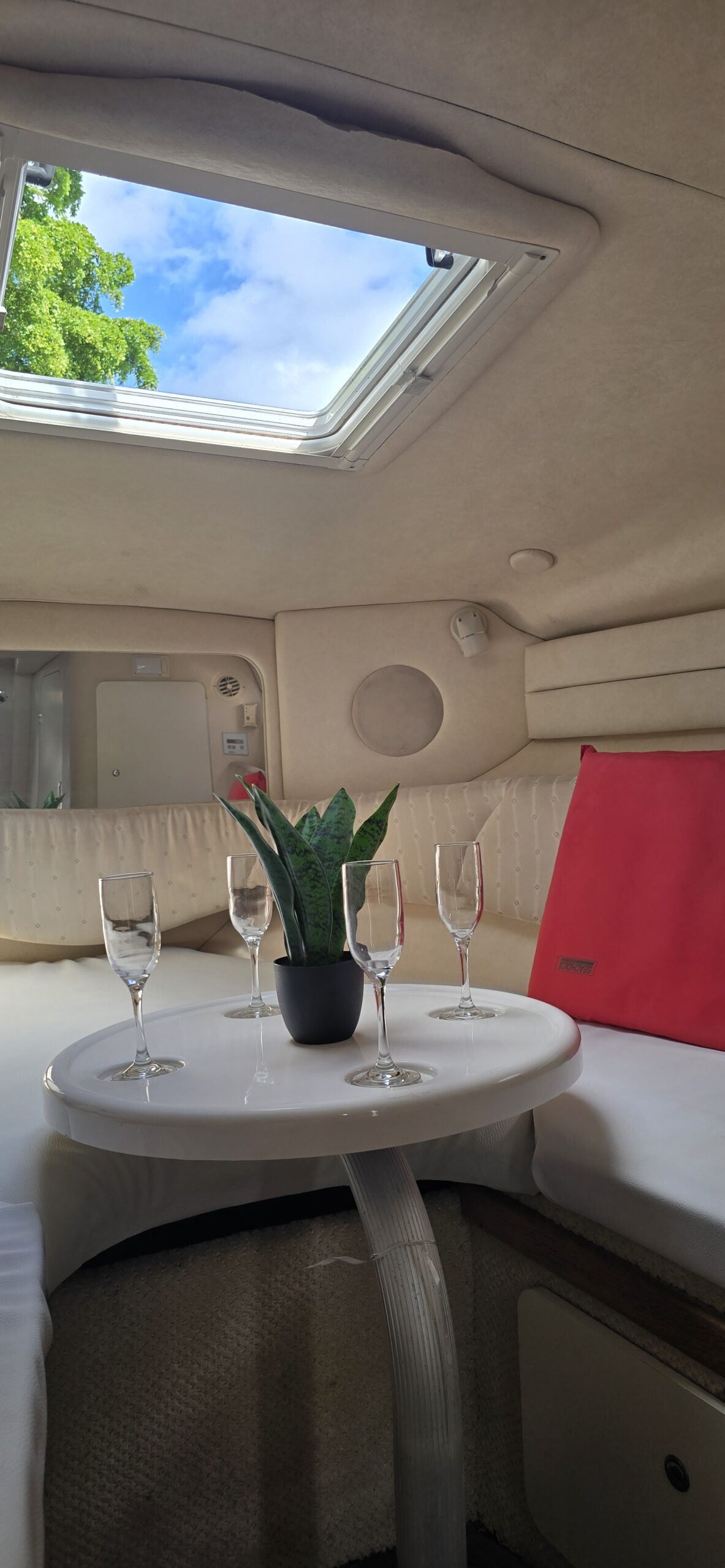 Sea Sun Ray 260 - Miniatura 5