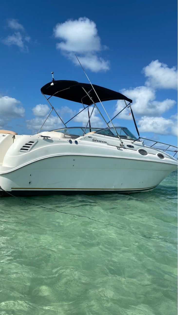 Sea Sun Ray 260 - Miniatura 4